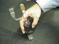 assembled sample chamber