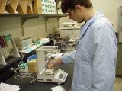 weighing the sample