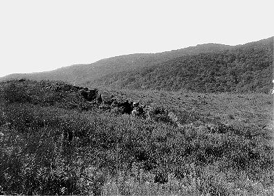 1906 San Francisco Earthquake Photo