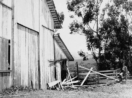 1906 San Francisco Earthquake Photo