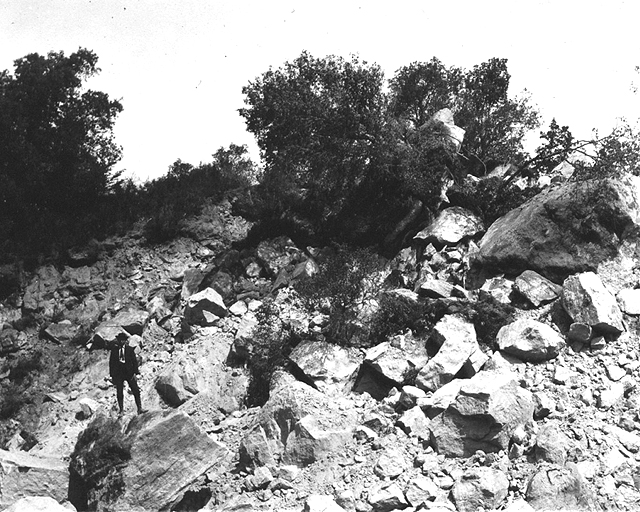 1906 San Francisco Earthquake Photo