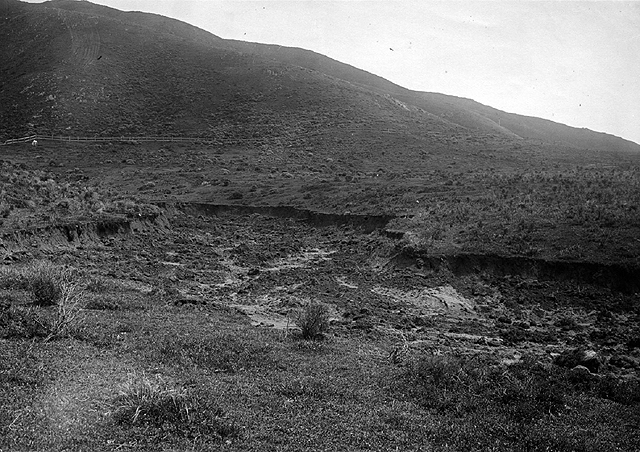 1906 San Francisco Earthquake Photo